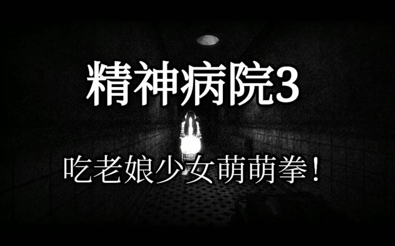 精神病院3全流程攻略解说_精神病院3最新技巧通关秘籍_