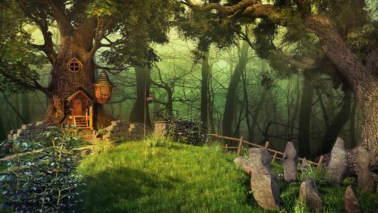 精灵森林全流程攻略_精灵森林新手入门到高手进阶