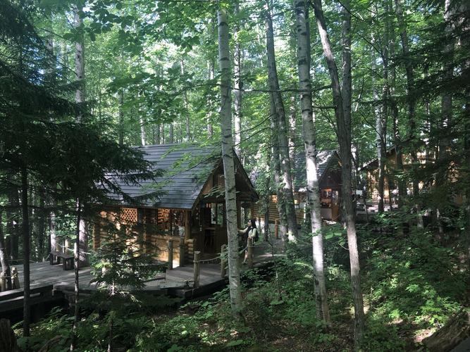 精灵森林全流程攻略_精灵森林新手入门到高手进阶