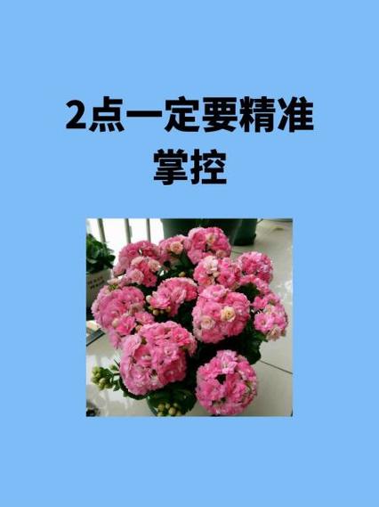 精准掌控全方面攻略解析_精准掌控实用操作技巧汇总