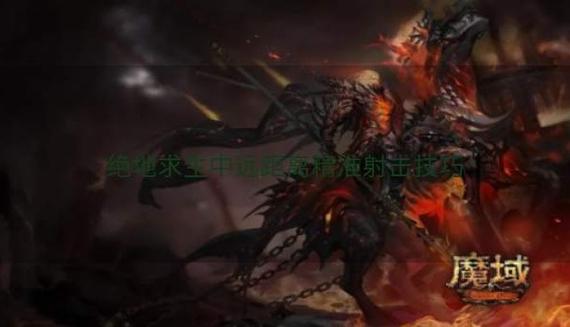 精准射击最全游戏攻略解说_精准射击最新游戏技巧通关