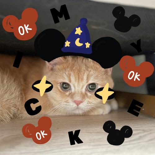 米奇老鼠游戏攻略秘籍_米奇老鼠趣味玩法全解析