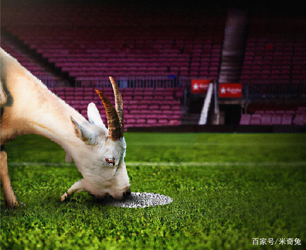 米奇兔最全游戏攻略解说_米奇兔最新游戏技巧通关