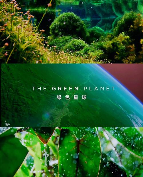 创造绿色星球手游下载_创造绿色星球官网下载_手机安卓苹果app