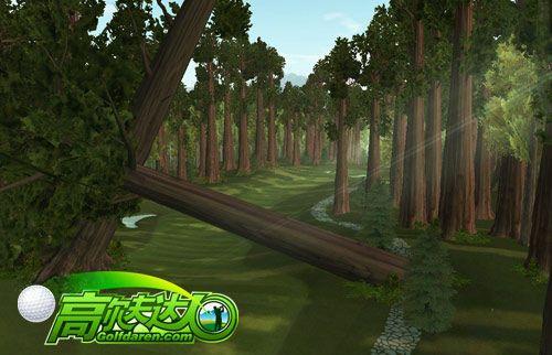 穿越原始森林最全游戏攻略解说_穿越原始森林最新游戏技巧通关