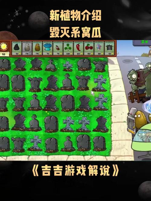 窝瓜最全游戏攻略解说_窝瓜最新游戏技巧通关