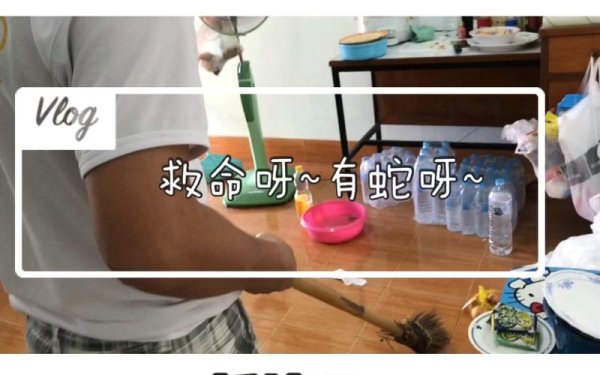 突然造访最全游戏攻略解说_突然造访最新游戏技巧通关