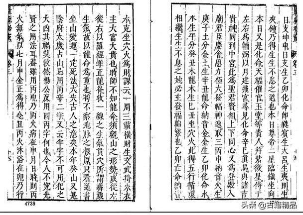 秘道全流程攻略解析_秘道隐藏技巧与通关秘籍