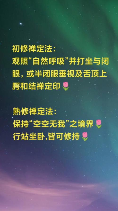 禅定印最全游戏攻略解说_禅定印最新游戏技巧通关