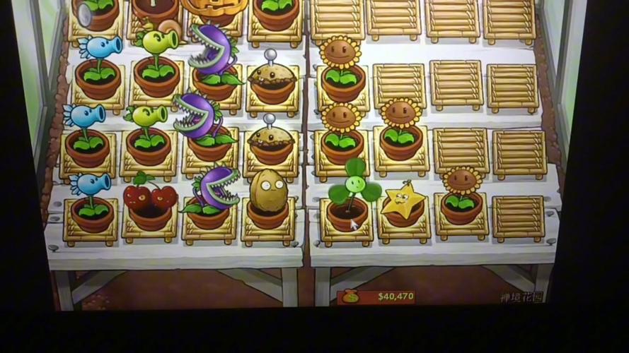 禅境花园最全游戏攻略解说_禅境花园最新游戏技巧通关