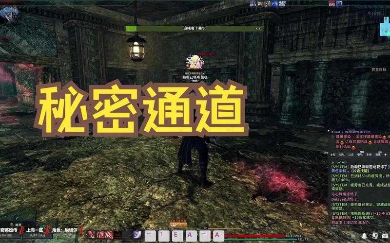 秘密通道一最全游戏攻略解说_秘密通道一最新游戏技巧通关