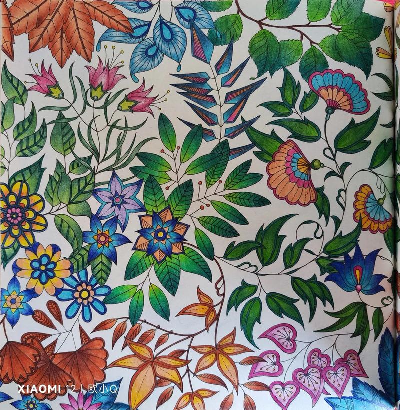 秘密花园涂色最全游戏攻略解说_秘密花园涂色最新游戏技巧通关