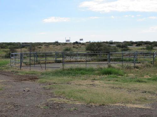 科尔德最全游戏攻略解说_科尔德最新游戏技巧通关