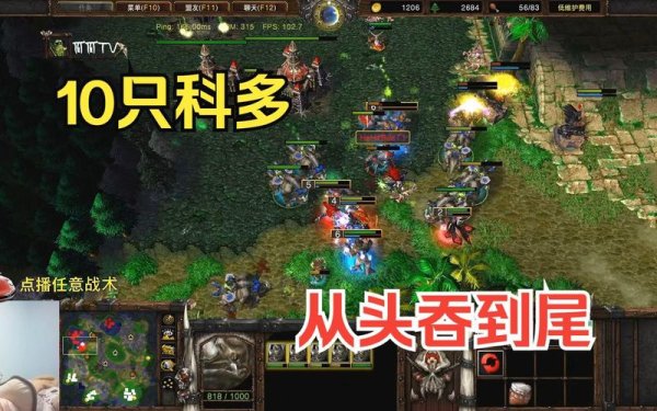 科多最全游戏攻略解说_科多最新游戏技巧通关