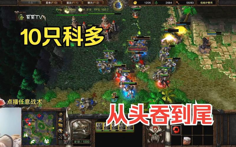 科多最全游戏攻略解说_科多最新游戏技巧通关