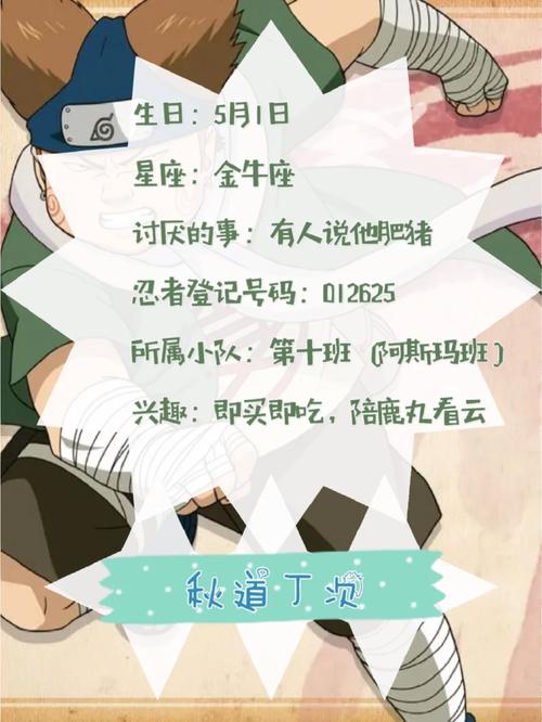 秋道丁次最全游戏攻略解说_秋道丁次最新游戏技巧通关