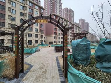 秀拉最全游戏攻略解说_秀拉最新游戏技巧通关