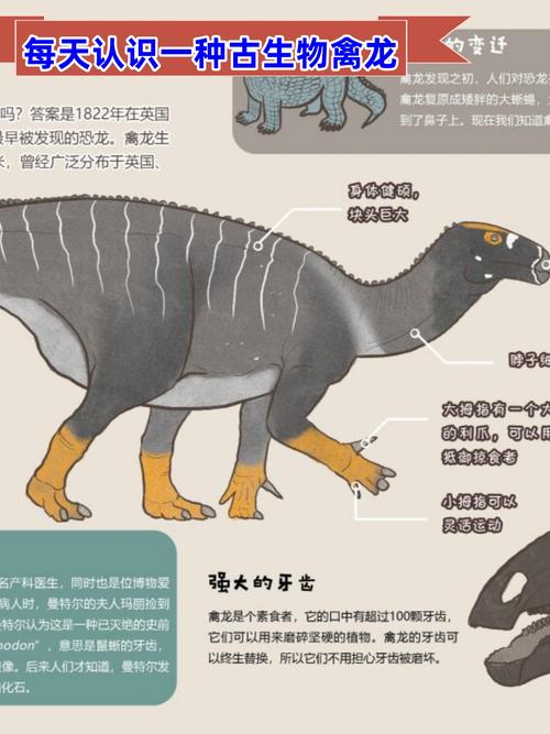 禽龙最全游戏攻略解说_禽龙最新游戏技巧通关