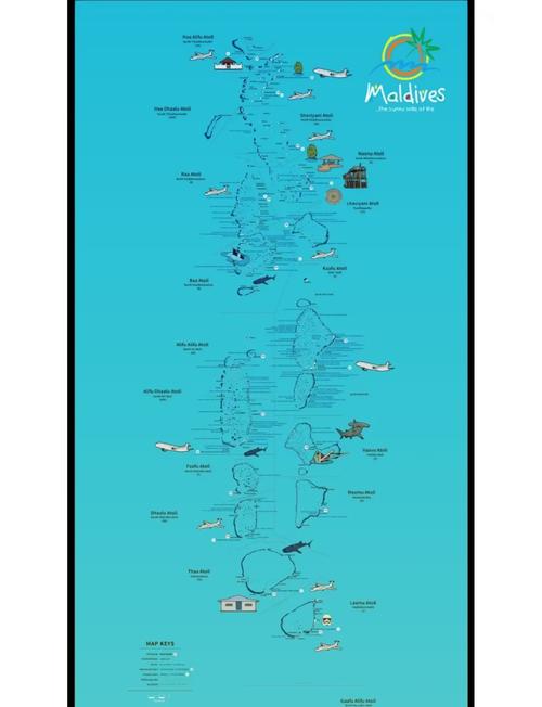 神秘岛屿全流程攻略解析_神秘岛屿隐藏要素探索