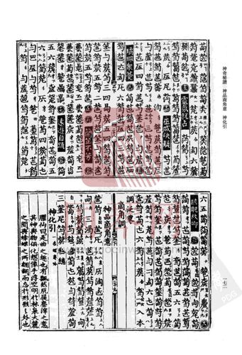 神引最全游戏攻略解说_神引最新游戏技巧通关