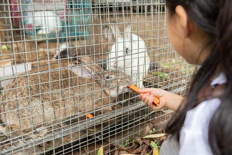 农场动物消消看手游下载_农场动物消消看官网下载_手机安卓苹果app