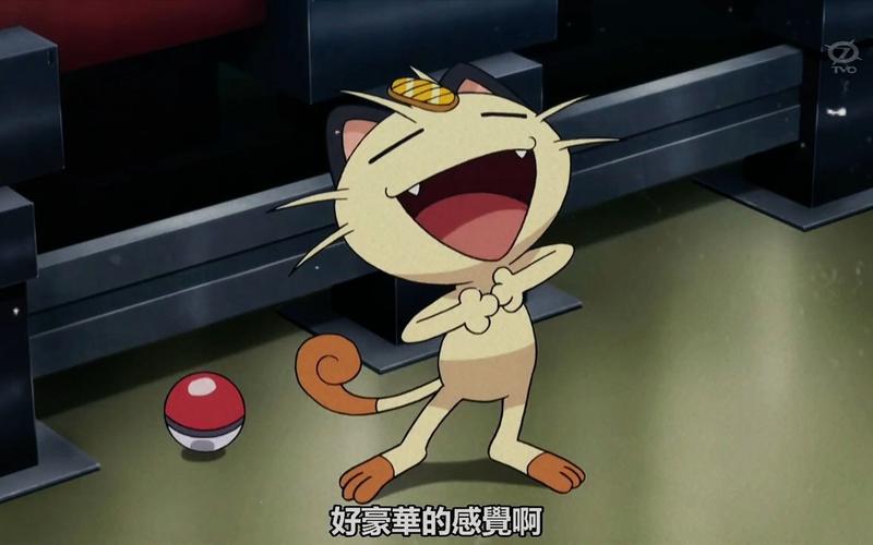 神奇宝贝喵喵最全游戏攻略解说_神奇宝贝喵喵最新游戏技巧通关