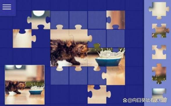 碎片拼图最全游戏攻略解说_碎片拼图最新游戏技巧通关