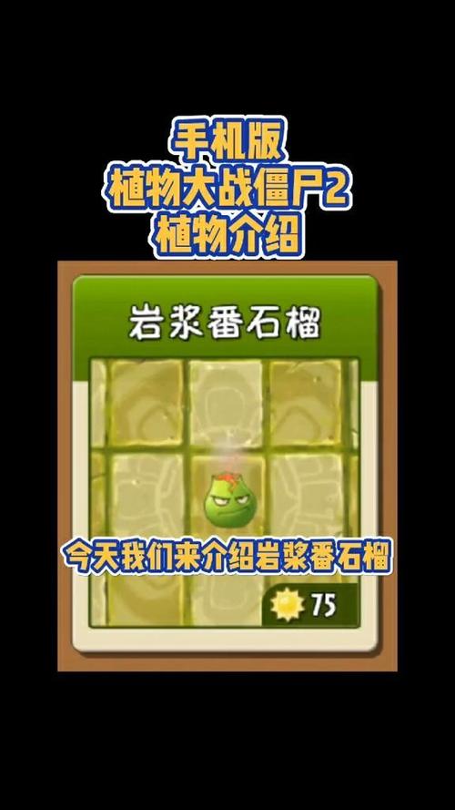 石榴最全游戏攻略解说_石榴最新游戏技巧通关