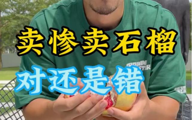 石榴最全游戏攻略解说_石榴最新游戏技巧通关