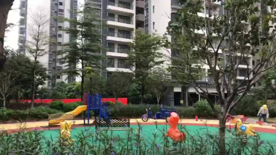 石晶晶最全游戏攻略解说_石晶晶最新游戏技巧通关