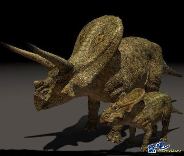 盾甲龙最全游戏攻略解说_盾甲龙最新游戏技巧通关