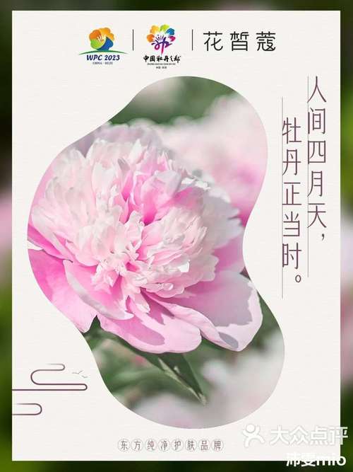 盛雪最全游戏攻略解说_盛雪最新游戏技巧通关