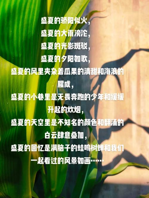 盛夏骄阳最全游戏攻略解说_盛夏骄阳最新游戏技巧通关