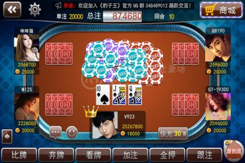 皮豹子最全游戏攻略解说_皮豹子最新游戏技巧通关