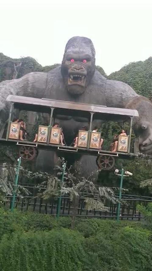 人猿泰山找东西游戏下载_人猿泰山找东西官网下载_手机安卓苹果app