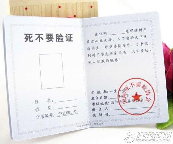 白雀全剧情通关攻略_白雀最新玩法技巧解析