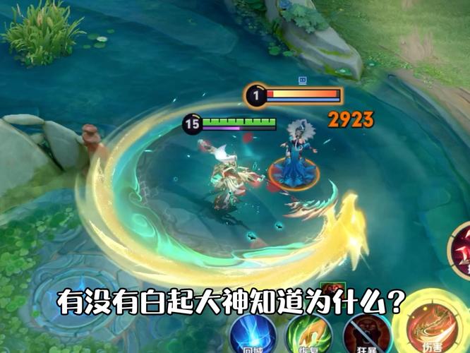 白起肉最全游戏攻略解说_白起肉最新游戏技巧通关