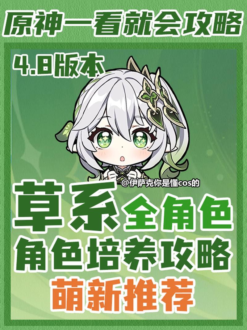 白术原神角色培养技能解析与配队攻略