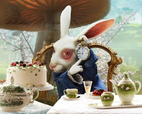 白兔先生最全游戏攻略解说_白兔先生最新游戏技巧通关