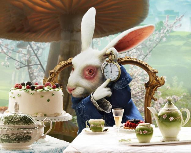 白兔先生最全游戏攻略解说_白兔先生最新游戏技巧通关