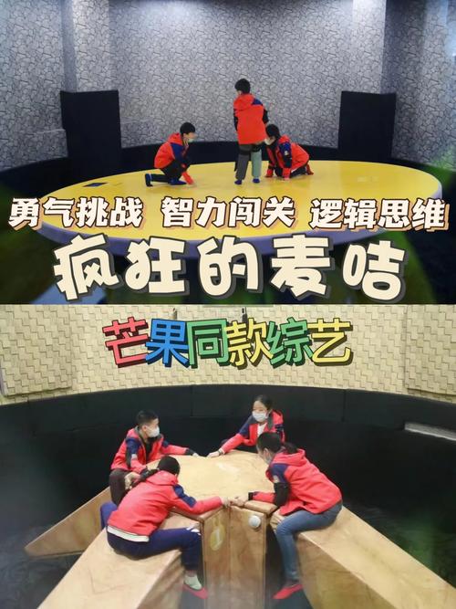 疯狂的麦咭游戏最佳攻略解析_疯狂的麦咭游戏高效通关技巧