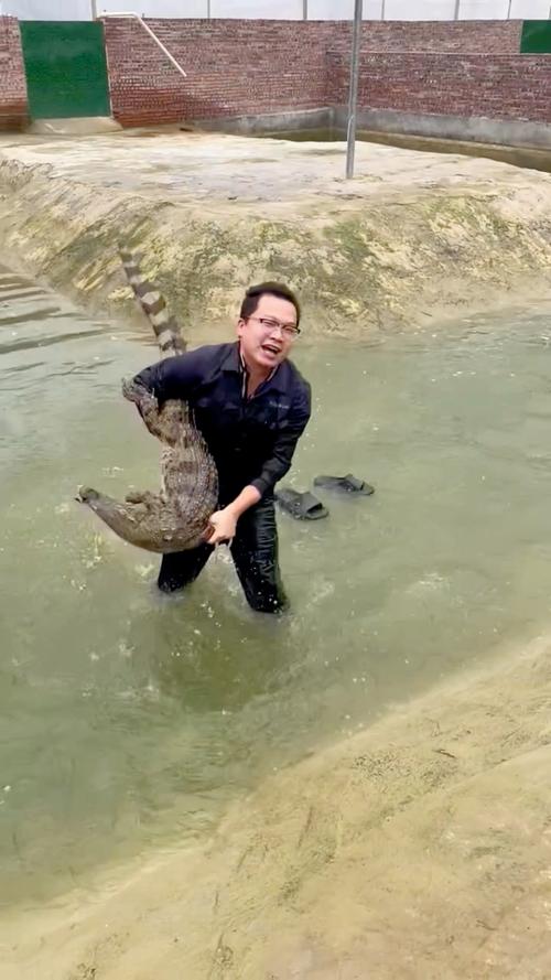 疯狂的鳄鱼最全游戏攻略解说_疯狂的鳄鱼最新游戏技巧通关