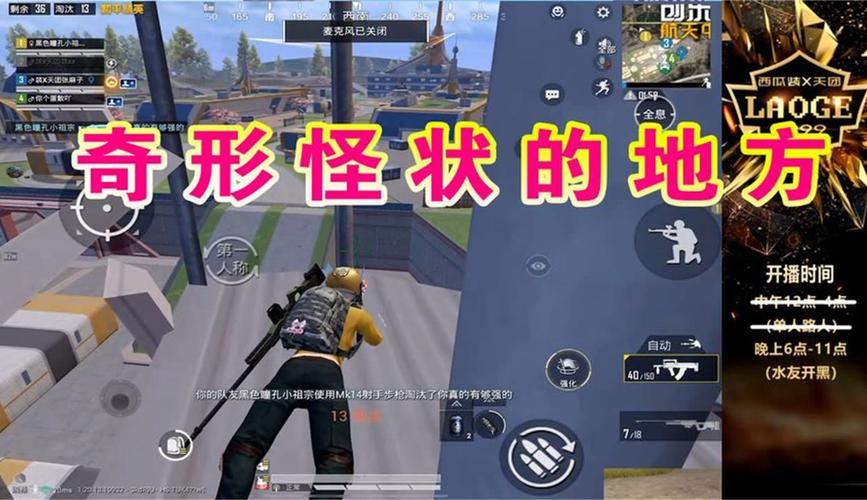 疯狂的猴子最全游戏攻略解说_疯狂的猴子最新游戏技巧通关