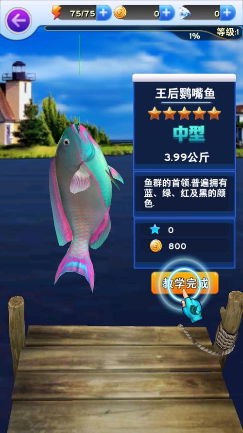 疯狂钓鱼最全游戏攻略解说_疯狂钓鱼最新游戏技巧通关