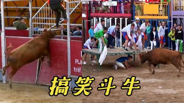 疯狂斗牛最全游戏攻略解说_疯狂斗牛最新游戏技巧通关