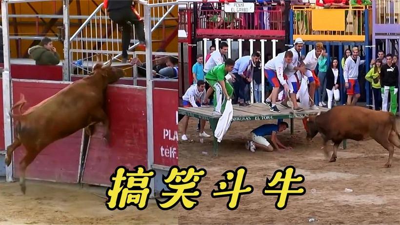 疯狂斗牛最全游戏攻略解说_疯狂斗牛最新游戏技巧通关