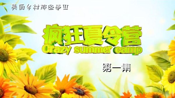 疯狂夏令营最全游戏攻略解说_疯狂夏令营最新游戏技巧通关