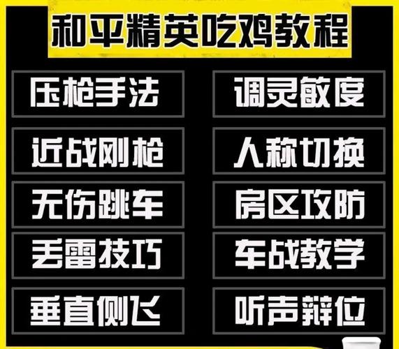电脑版和平精英最全游戏攻略解说_电脑版和平精英最新游戏技巧通关