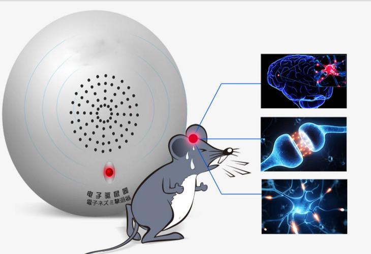 电子鼠最全游戏攻略解说_电子鼠最新游戏技巧通关