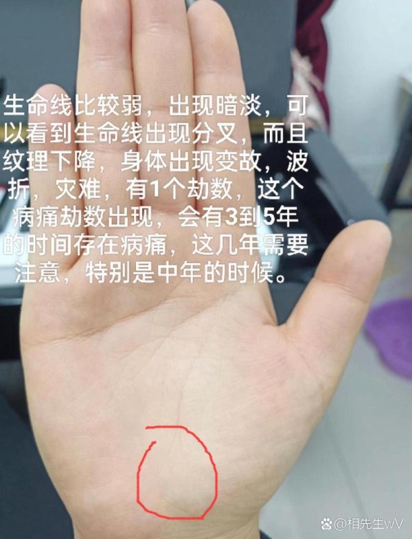 生命线游戏最全攻略解说_生命线游戏最新技巧通关